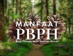 Pemberikan Rekom Teknis Permohonan Perizinan Berusaha Pemanfaatan Hutan(PBHP)